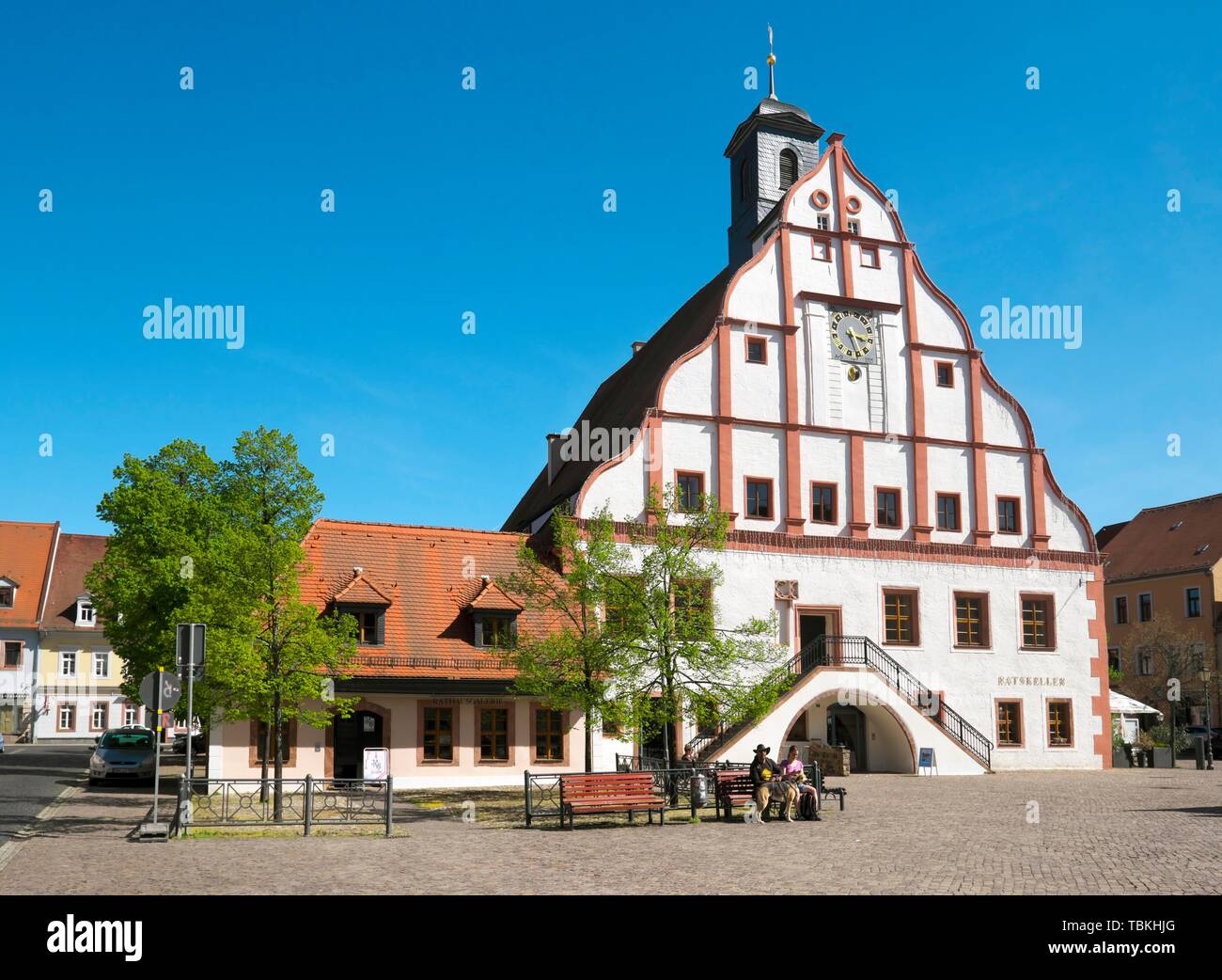 Grimma Town Hall, market, Grimma, Saxony, Germany Stock Photo