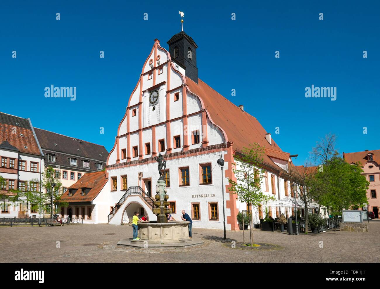 Grimma Town Hall, market, Grimma, Saxony, Germany Stock Photo