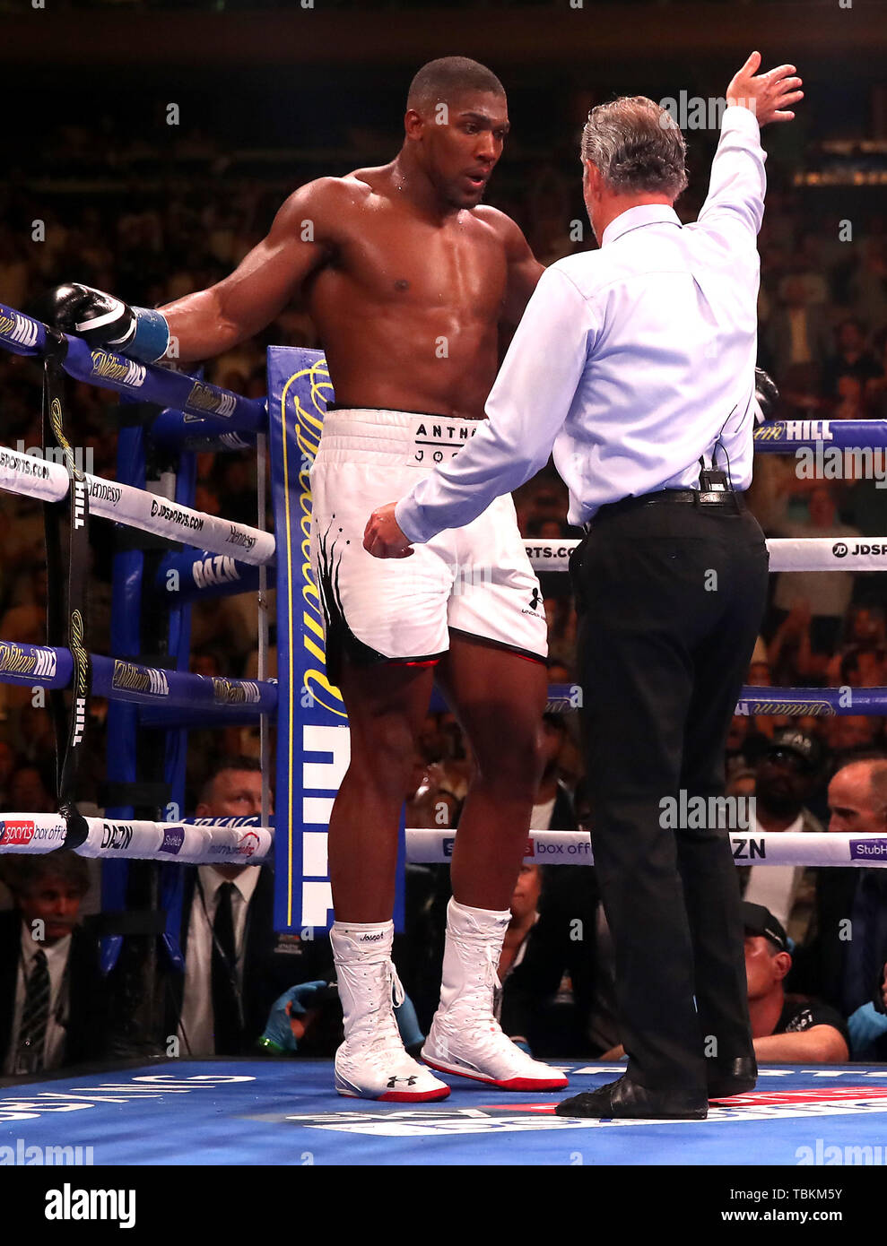 Referee Mike Griffin waves off the fight between Anthony Joshua (left