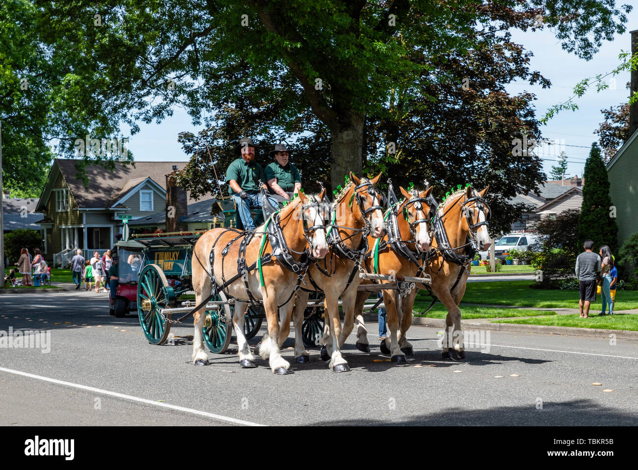 Horse drawn wagon from Milky Way Transport in the 2019 Lynden Farmers
