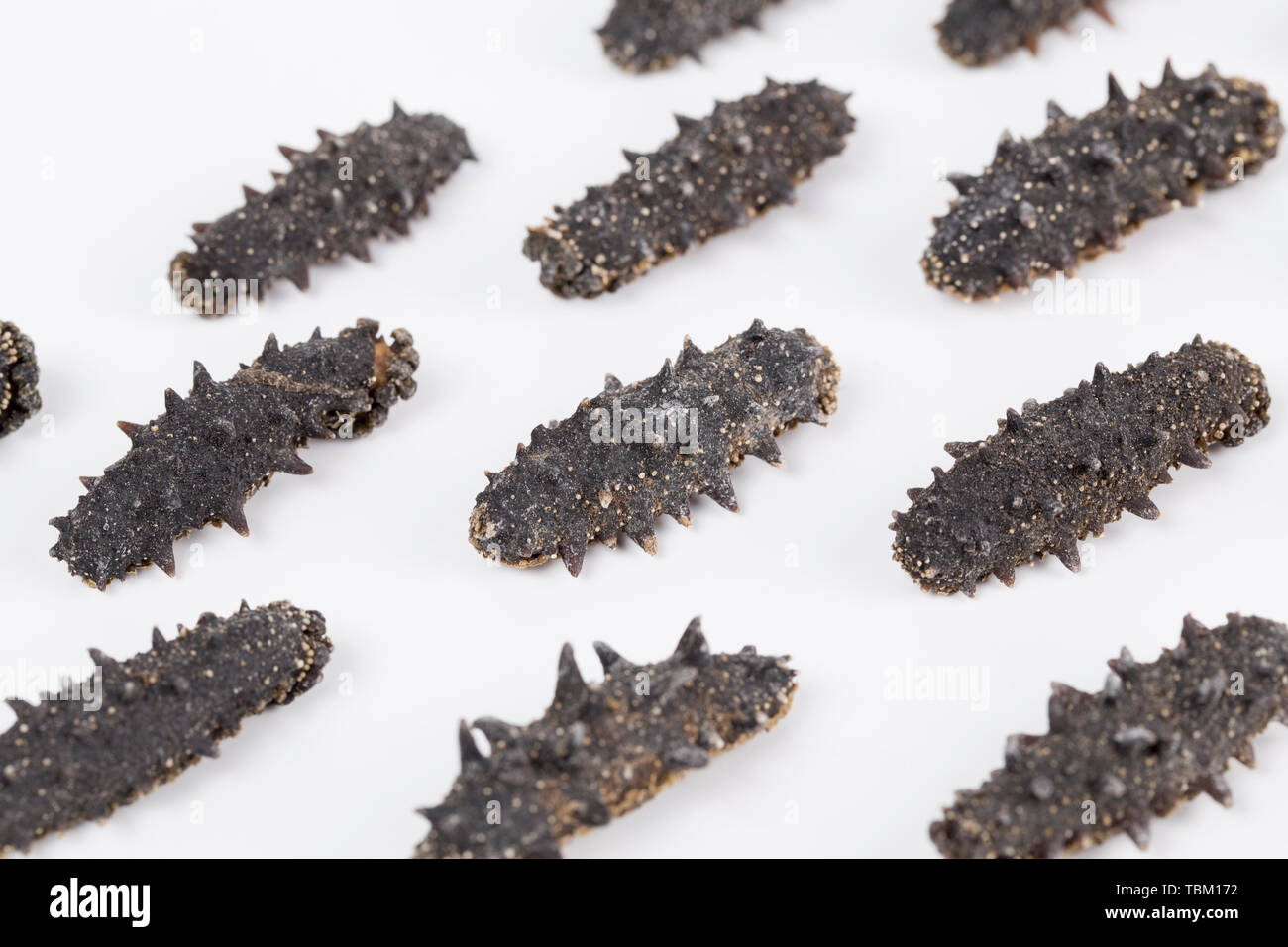 dried sea cucumber Stock Photo Alamy