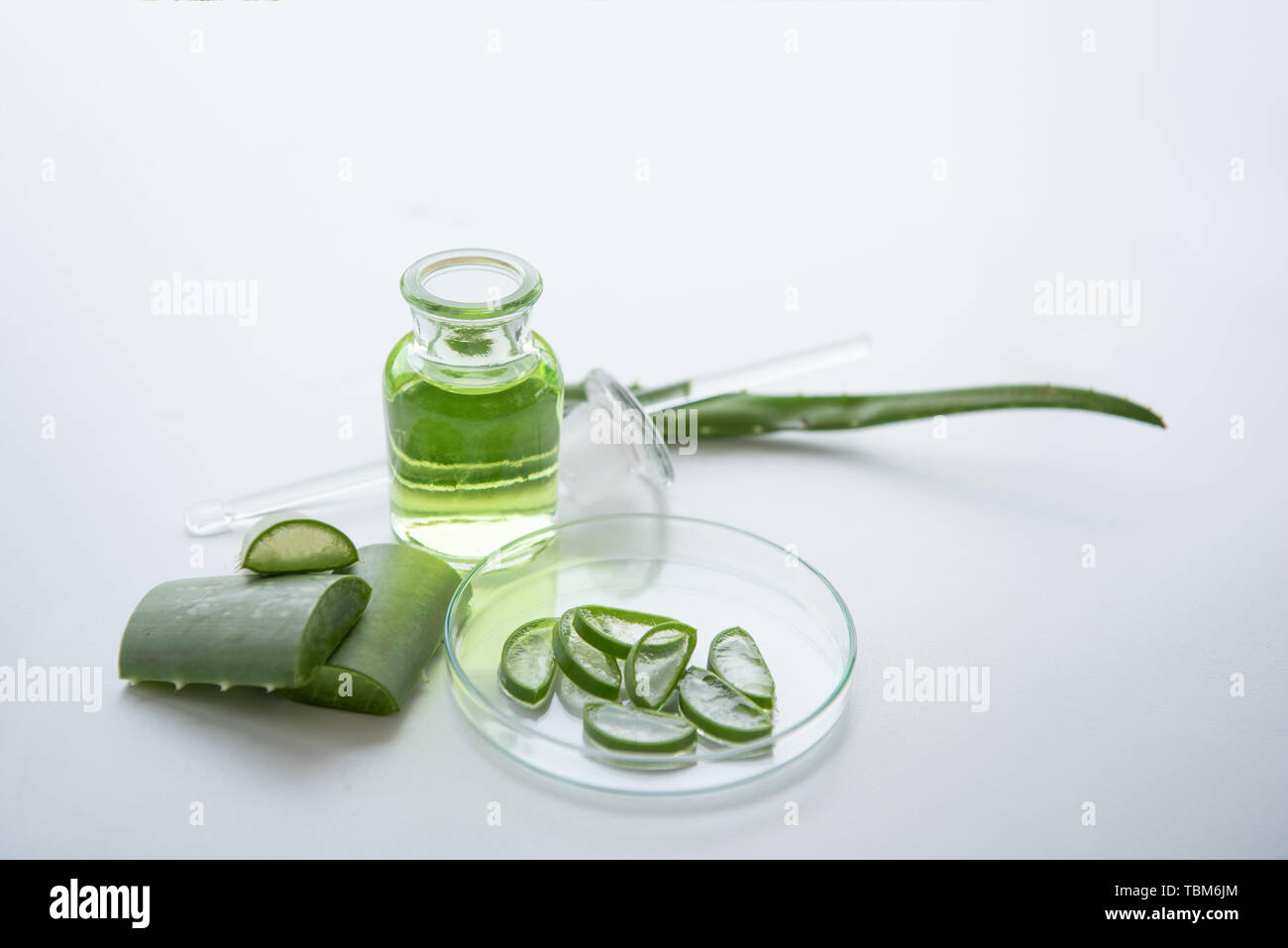 pet aloe vera Aloe Vera Gel For Dogs, Cats, Birds & Other Animals main image 0