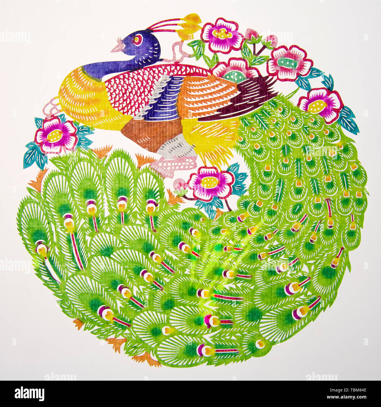 Color papercut peacock Stock Photo Alamy