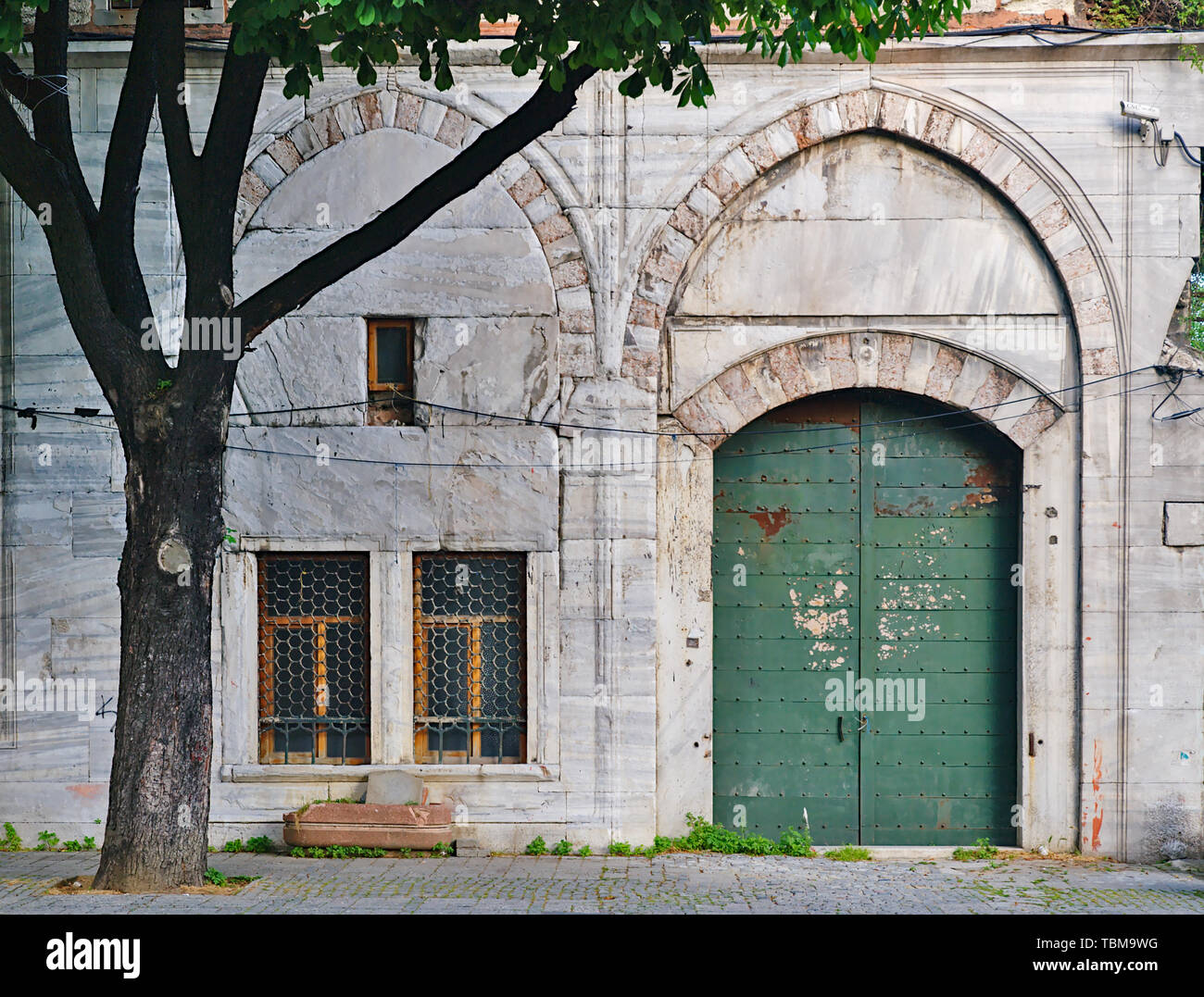Old Antique Metallic Green Door On Marble Wall Windows And Tree