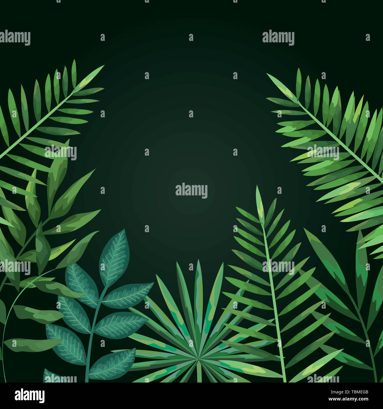 tropical leaves exotic plants style Stock Vector Image & Art - Alamy