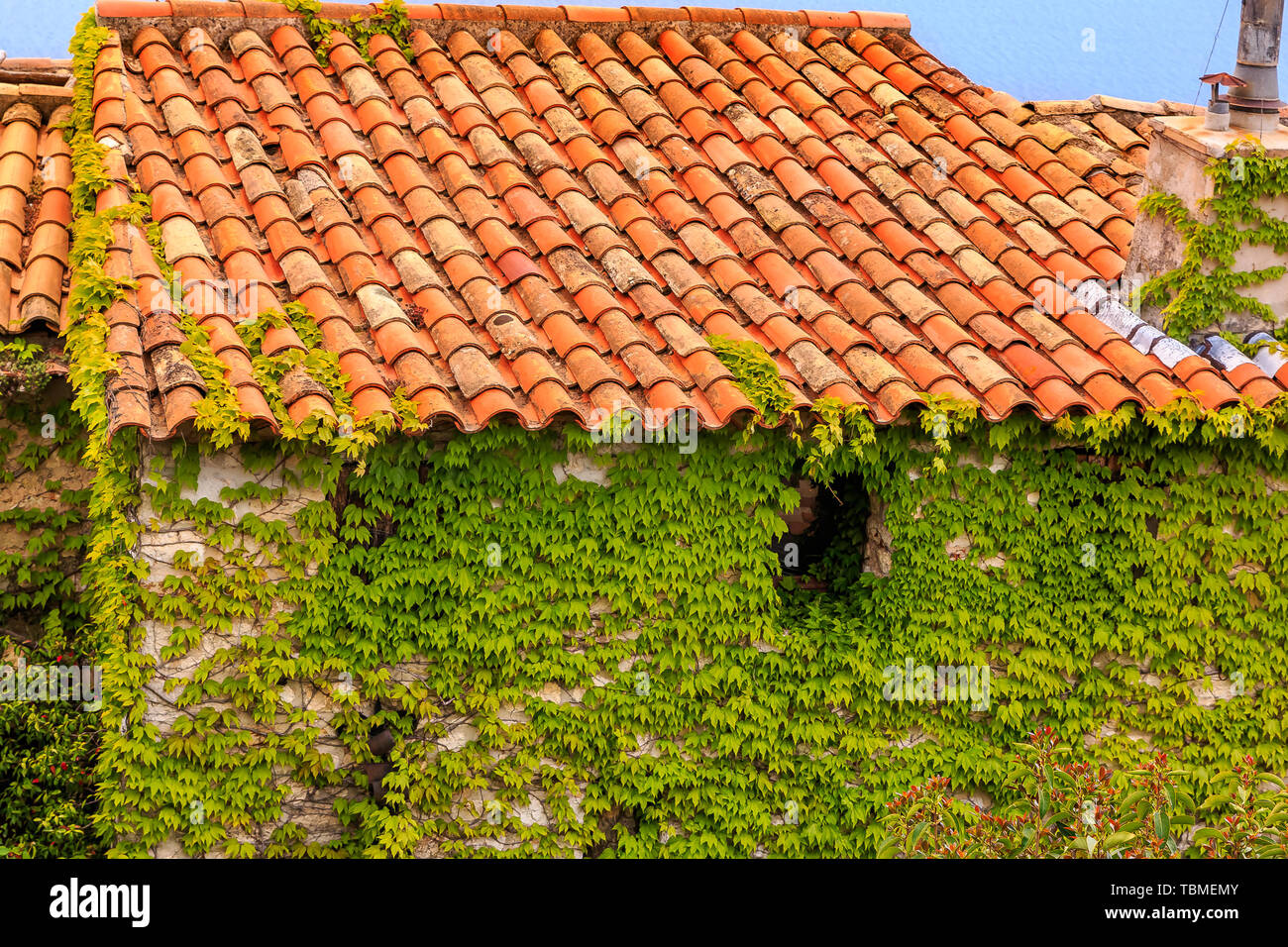Scenic view of the medieval rooftops and ivy covered walls in the town of Eze village on the French Riviera Stock Photo