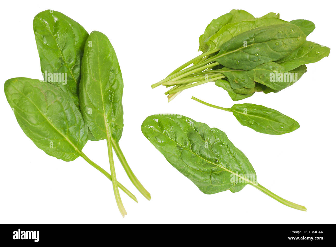 fresh spinach leaves isolated on white background Raw food collection ...