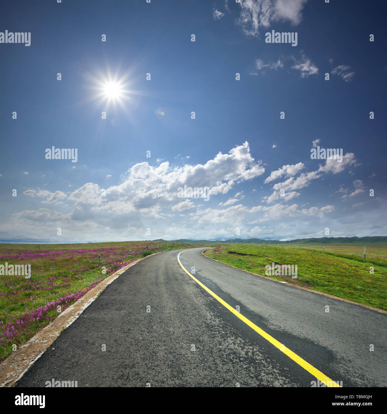 asphalt road through the green field and clouds on blue sky in s Stock ...