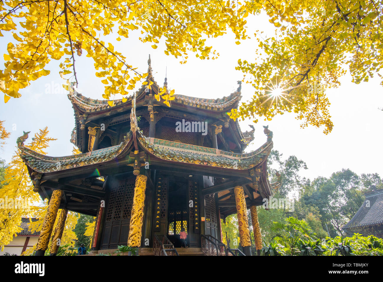 Autumn scenery of Ginkgo biloba at Qingyang Palace in Chengdu Stock Photo
