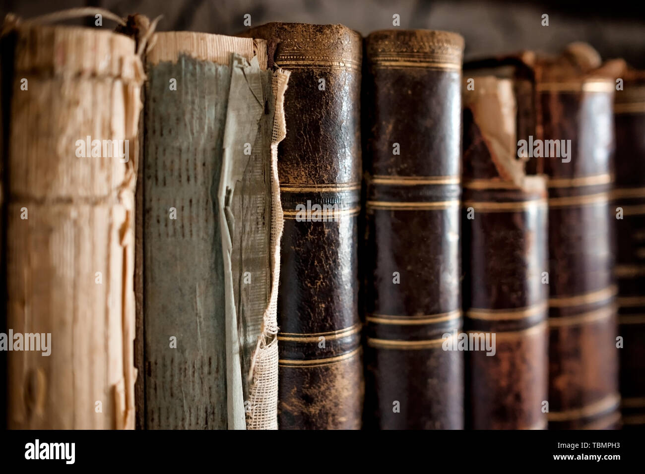 Old vintage books standing in a row Stock Photo Alamy