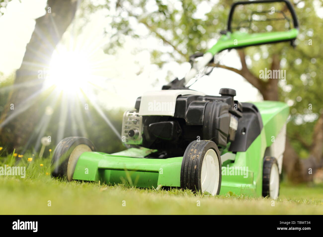 A Close-up of a  Lawnmower in a sunny garden Stock Photo