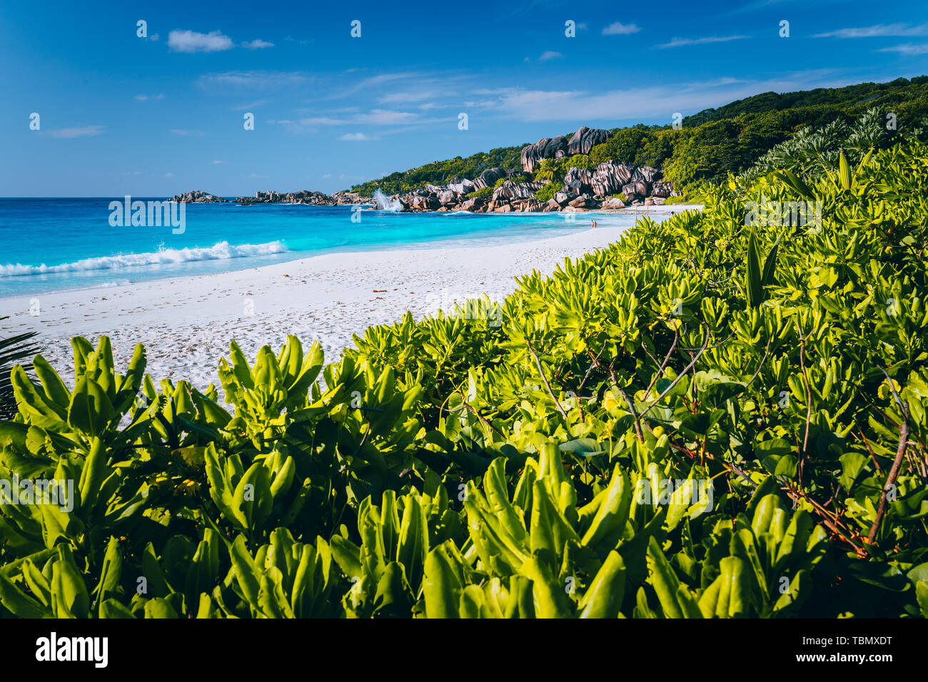 Eden Picturesque Grand Anse, La Digue island, Seychelles. Lush green vegetation frame white sand paradise beach with turquoise waves and unique Stock Photo