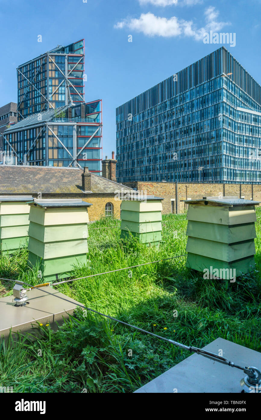 Urban bee hives on a rooftop at Bankside, South London. Stock Photo