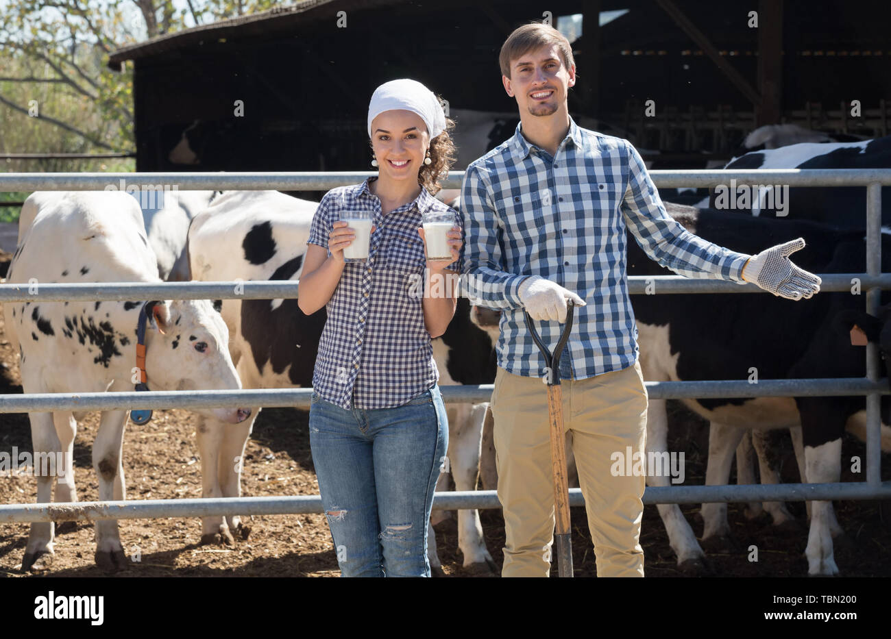 Young smiling male and female farmers standing with in the cow hangar ...
