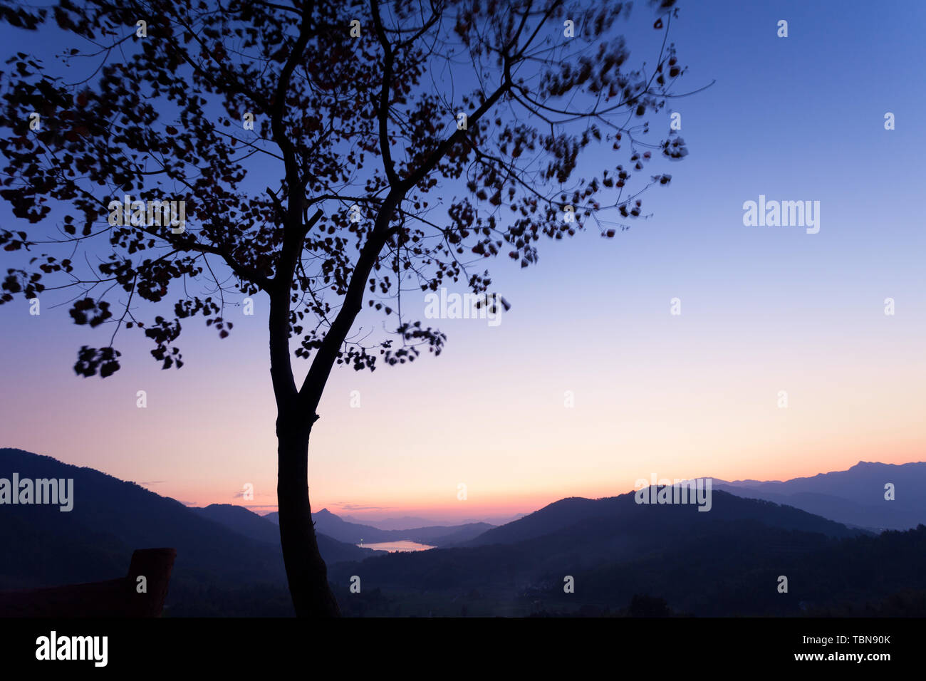 tree with sunset on mountain Stock Photo - Alamy