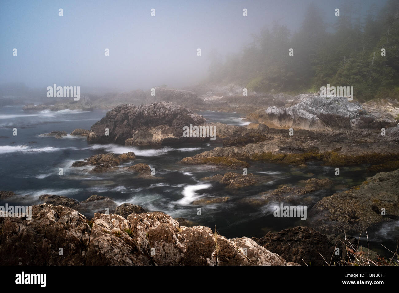 Fog envelops the rugged Wild Pacific Rim Trail, Ucluelet, on the Ucluelet Peninsula on the west coast of Vancouver Island in British Columbia, Canada, Stock Photo