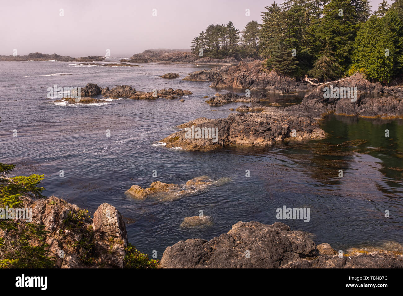 The rugged Wild Pacific Rim Trail, with fog clinging to the rocks at Ucluelet, on the Ucluelet Peninsula on the west coast of Vancouver Island in Brit Stock Photo