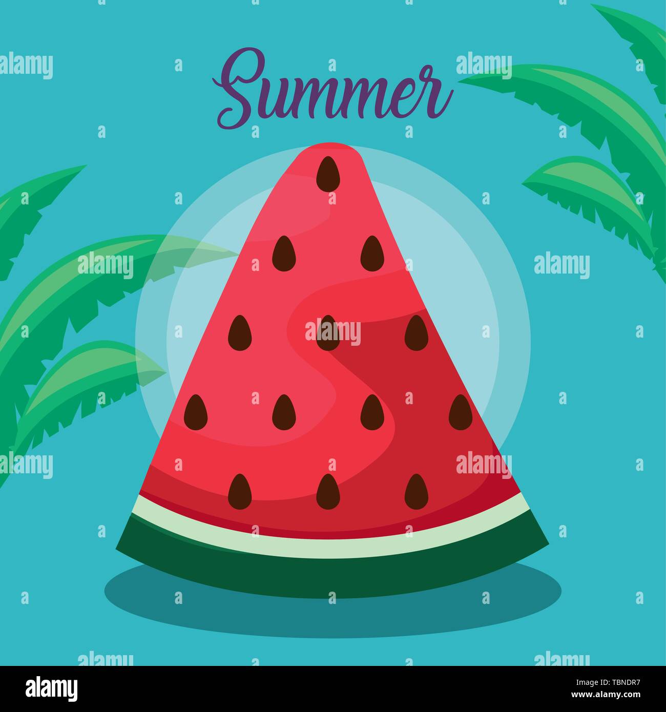 summer poster with watermelon and leafs vector illustration design ...