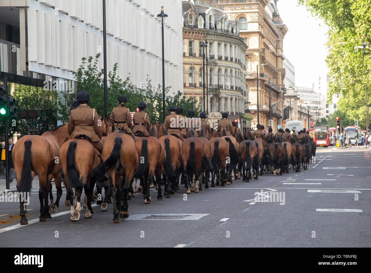 The Royal Household Cavalry transfer unmounted horses to stables along Buckingham Palace Road in Central London Stock Photo