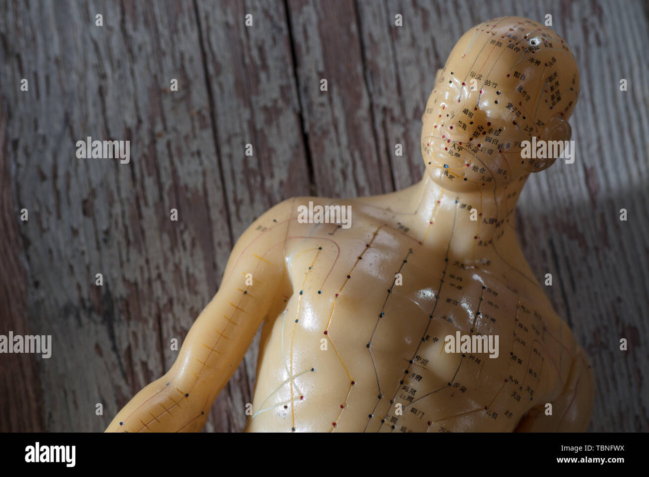 Acupuncture model human body hi-res stock photography and images - Alamy