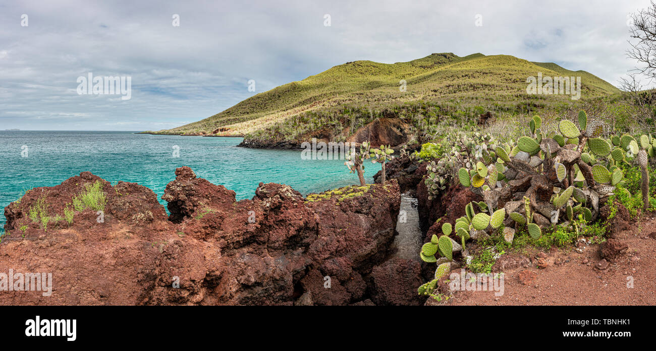 Shoreline of Rabida Island in the Galapagos. Lava contains high levels of iron, which oxidizes to a red color. Stock Photo