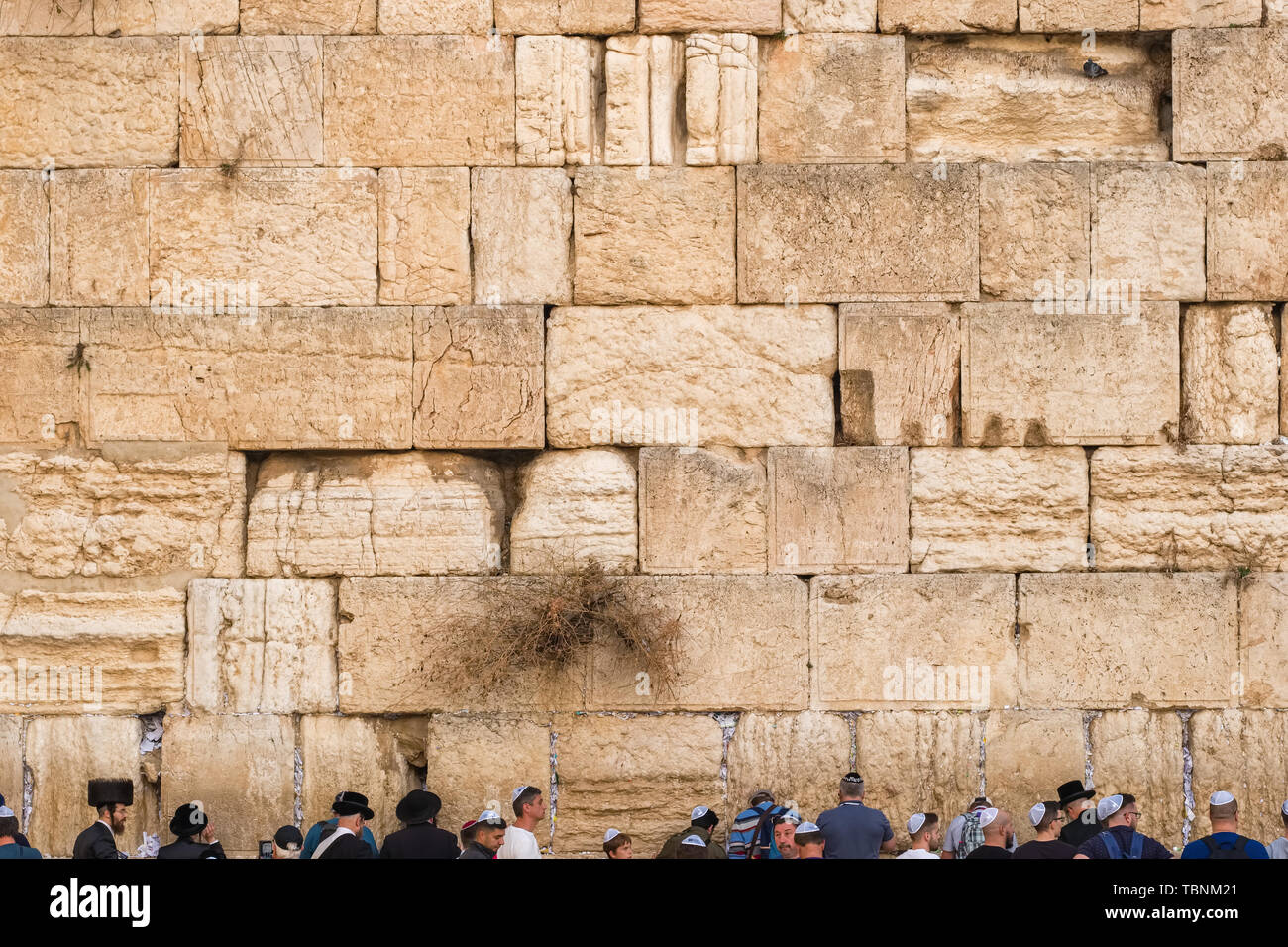 Western Wall in Jerusalem, Israel Stock Photo