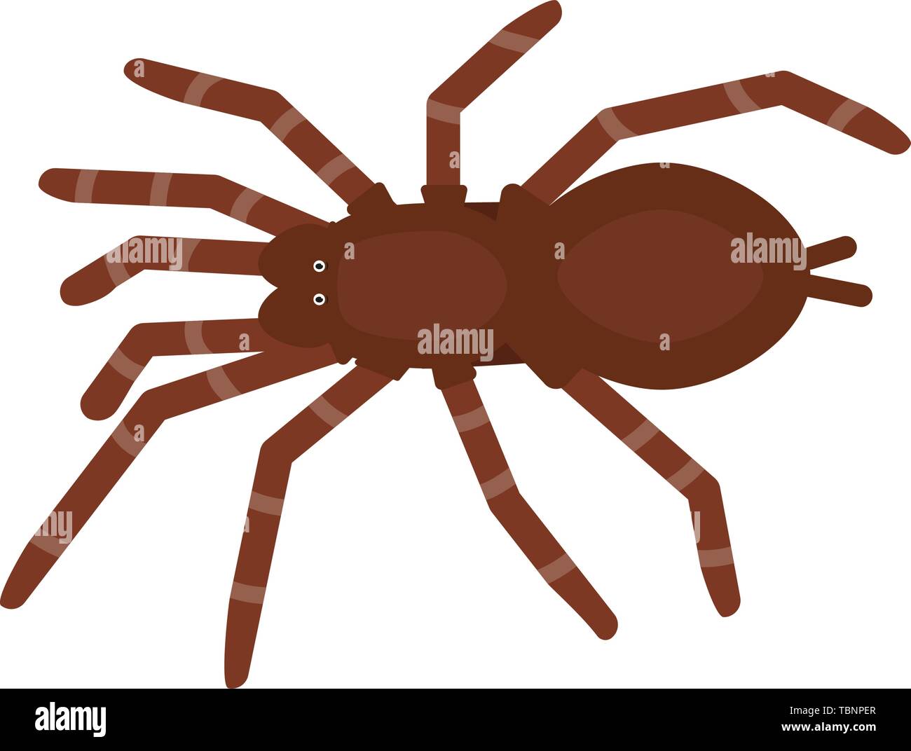 Spider baboon icon in flat style, african animal vector illustration ...
