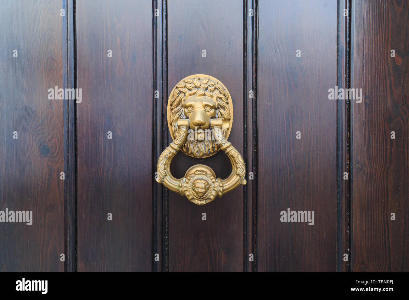 Lion head door knock on an old new wooden door in Malaga, Spain Stock Photo