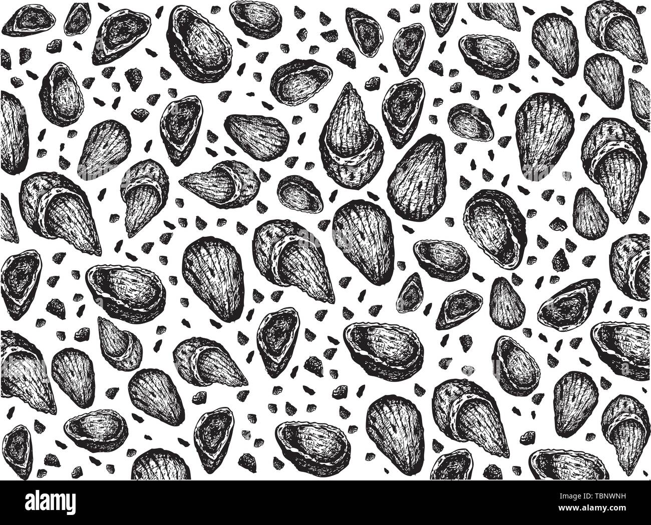 Illustration Wallpaper of Hand Drawn Sketch of Dried Almonds Background