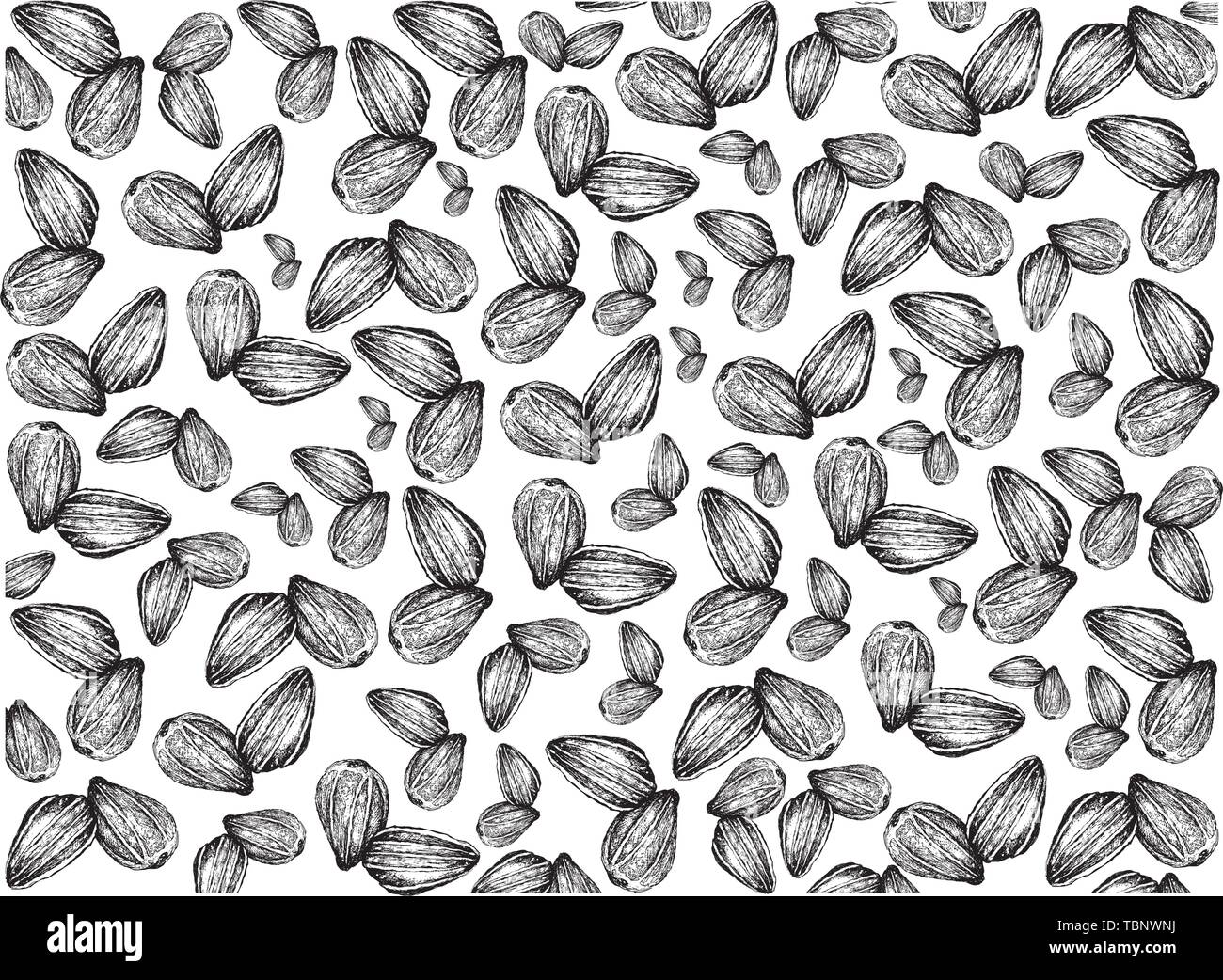 Illustration Wallpaper of Hand Drawn Sketch Bright and Beautiful Sunflowers in Tight Bundle Isolated on A White Background. Stock Vector