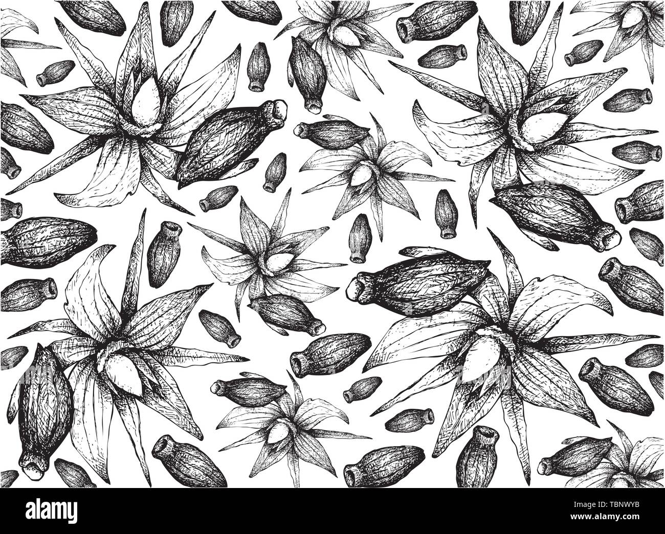 Illustration Wallpaper of Hand Drawn Sketch of Borage Seeds and