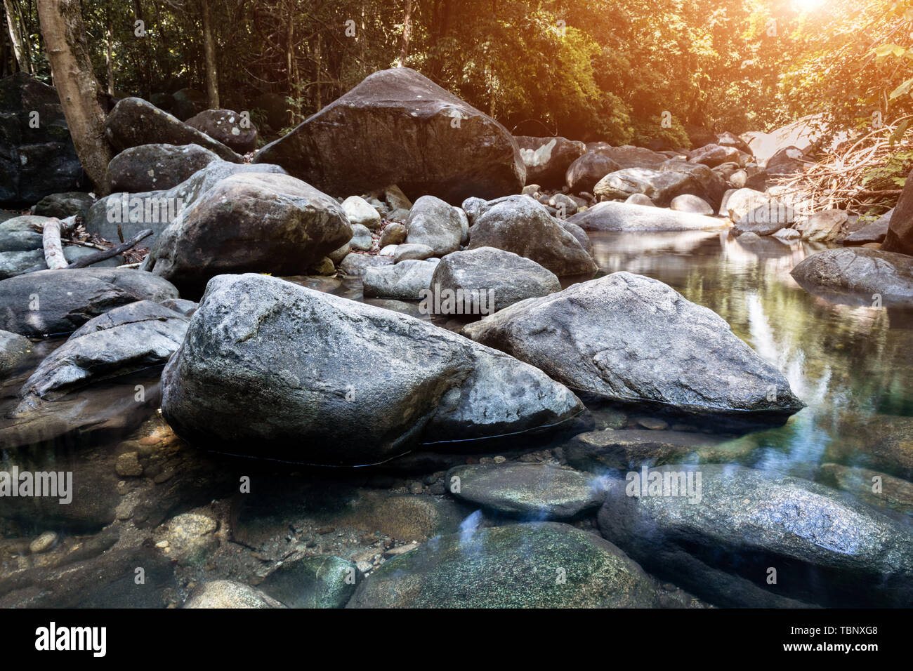 Nature Forest Rocks Stones and grop of nature rocks with forest water in nature scape dark ...