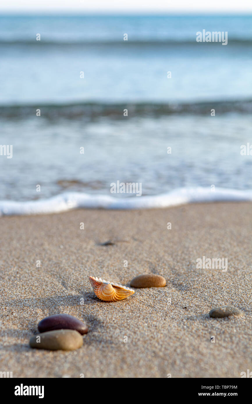 Nature background with sea coastline, sea shells and stones close up ...