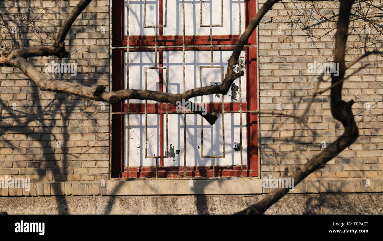 Nostalgic brick walls, mottled tree shadows Stock Photo