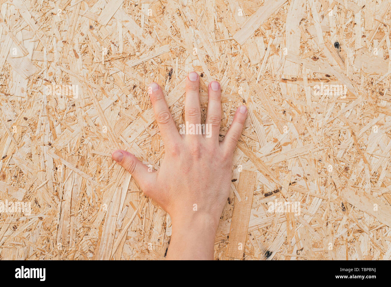 pressed sawdust in the board. Hand on the board of compressed sawdust ...
