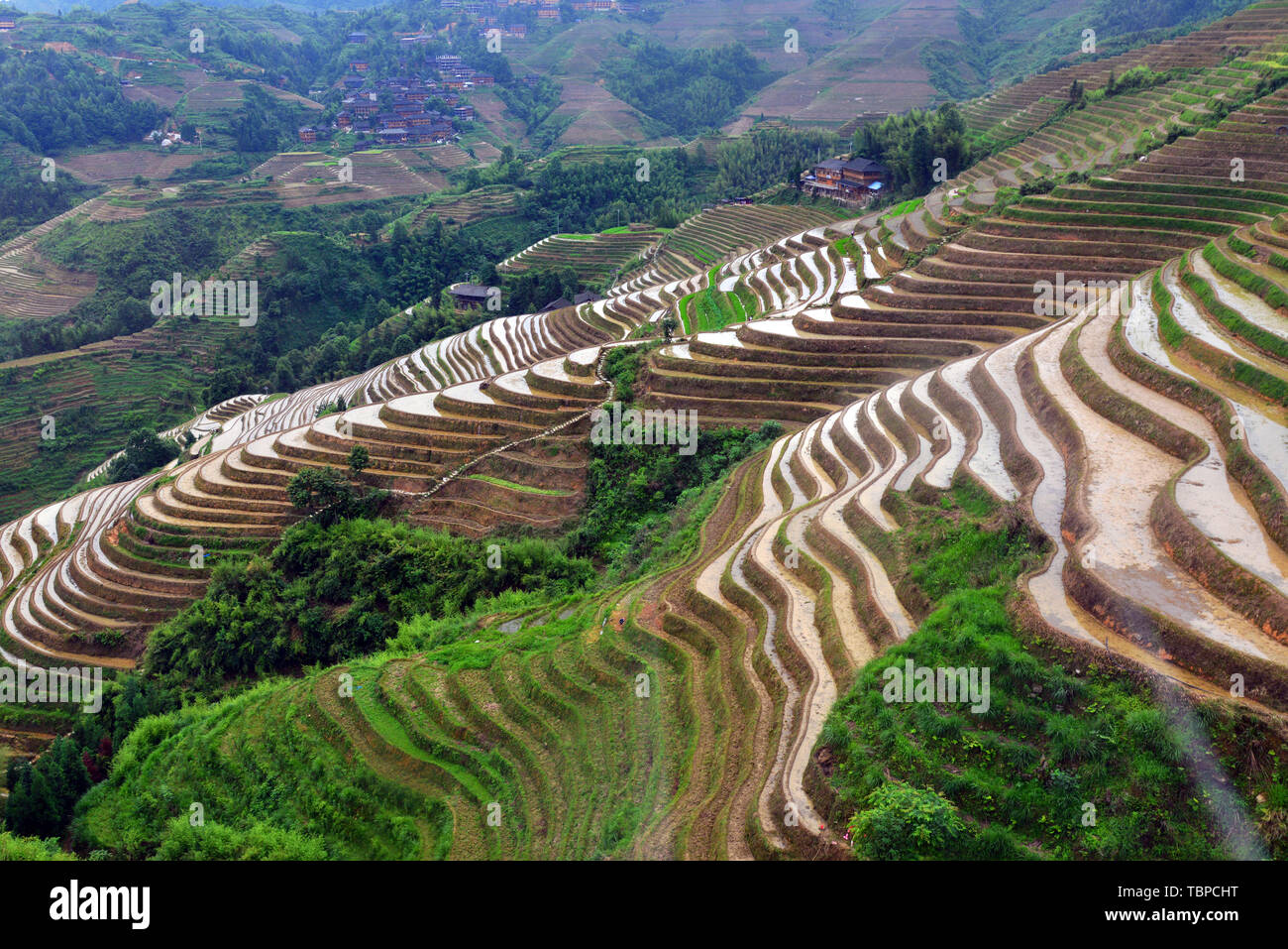 Guangxi dragon ridge terraces beautiful world Stock Photo - Alamy