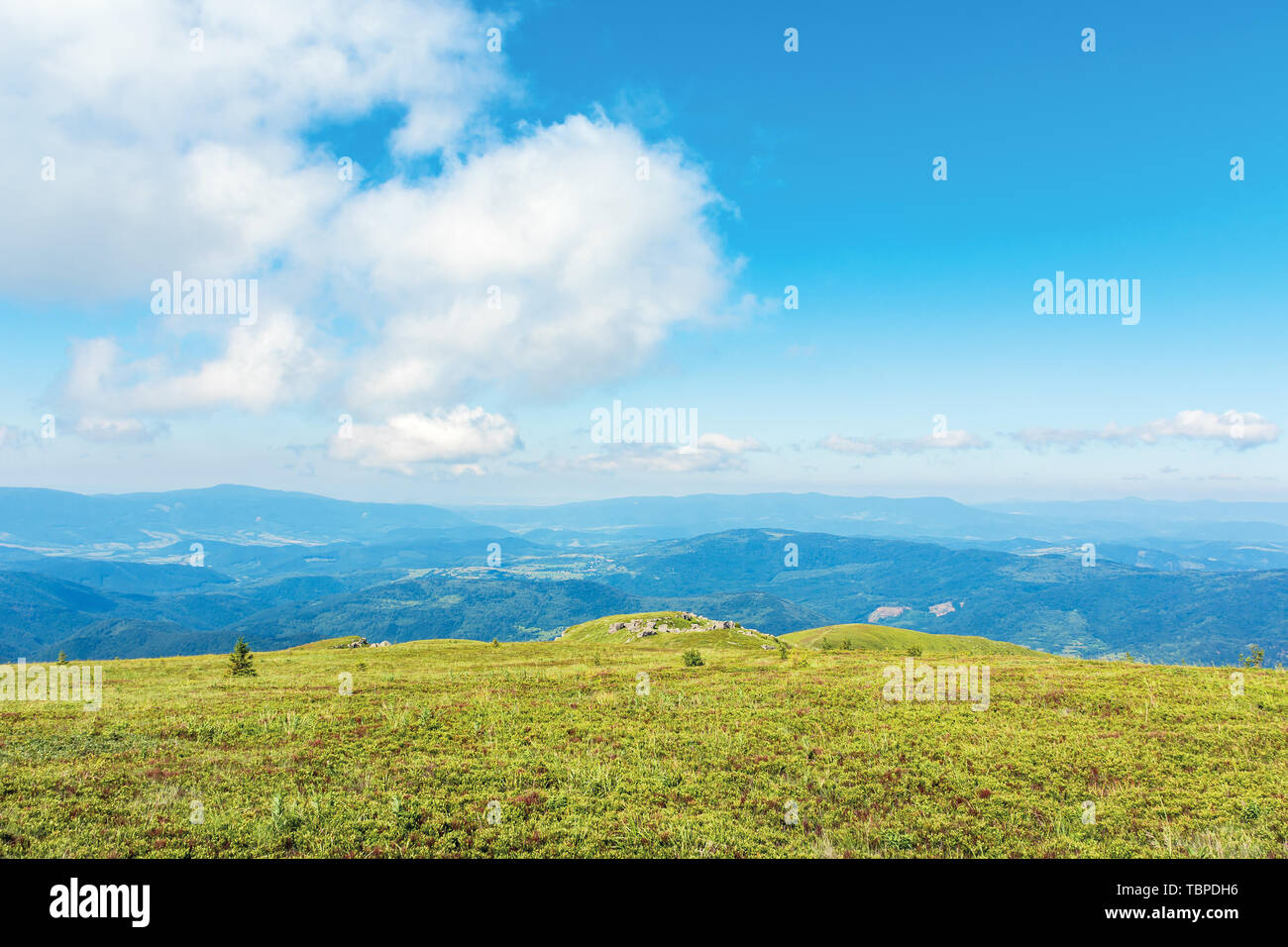 beautiful minimal landscape. fluffy cloud above flat grassy meadow. rocks on the distant hump. mountain ridge in the distance. wonderful summer scener Stock Photo
