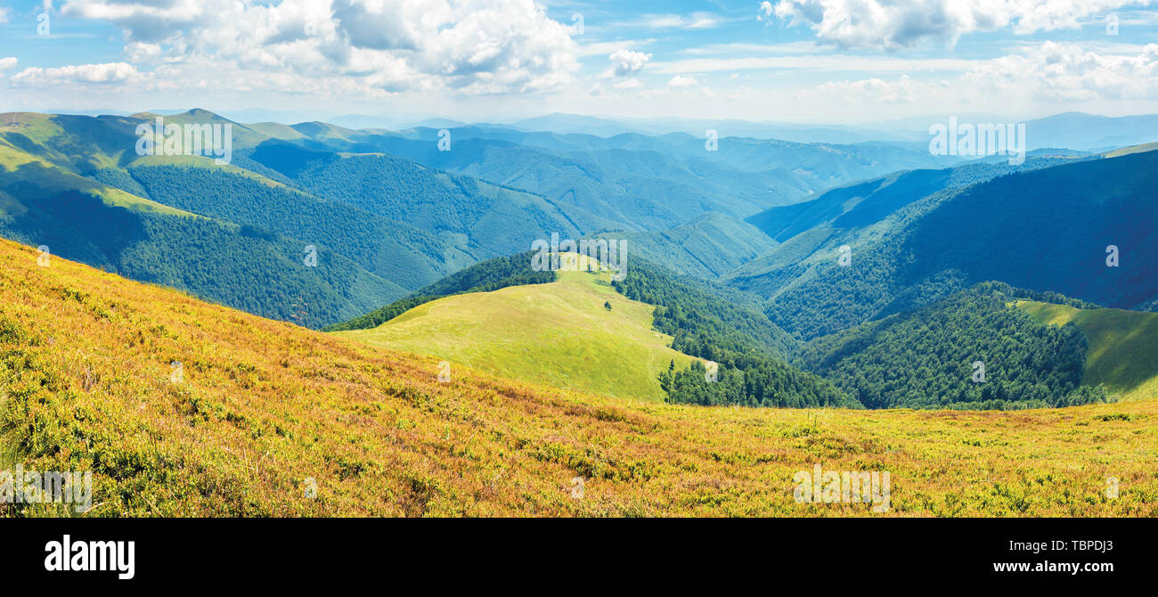 panoramic sunny summer landscape in mountains. amazing view from the hill of borzhava range. clouds on a blue sky. Stock Photo