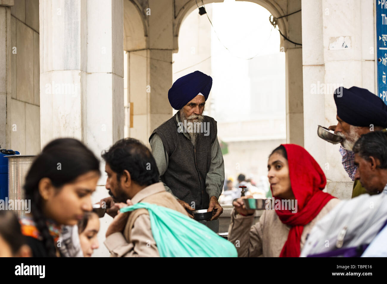 A Sikh man wearing a dastar is serving  food to pilgrims in the Harmandir Sahib (Golden Temple) Amritsar, Punjab, India. Stock Photo