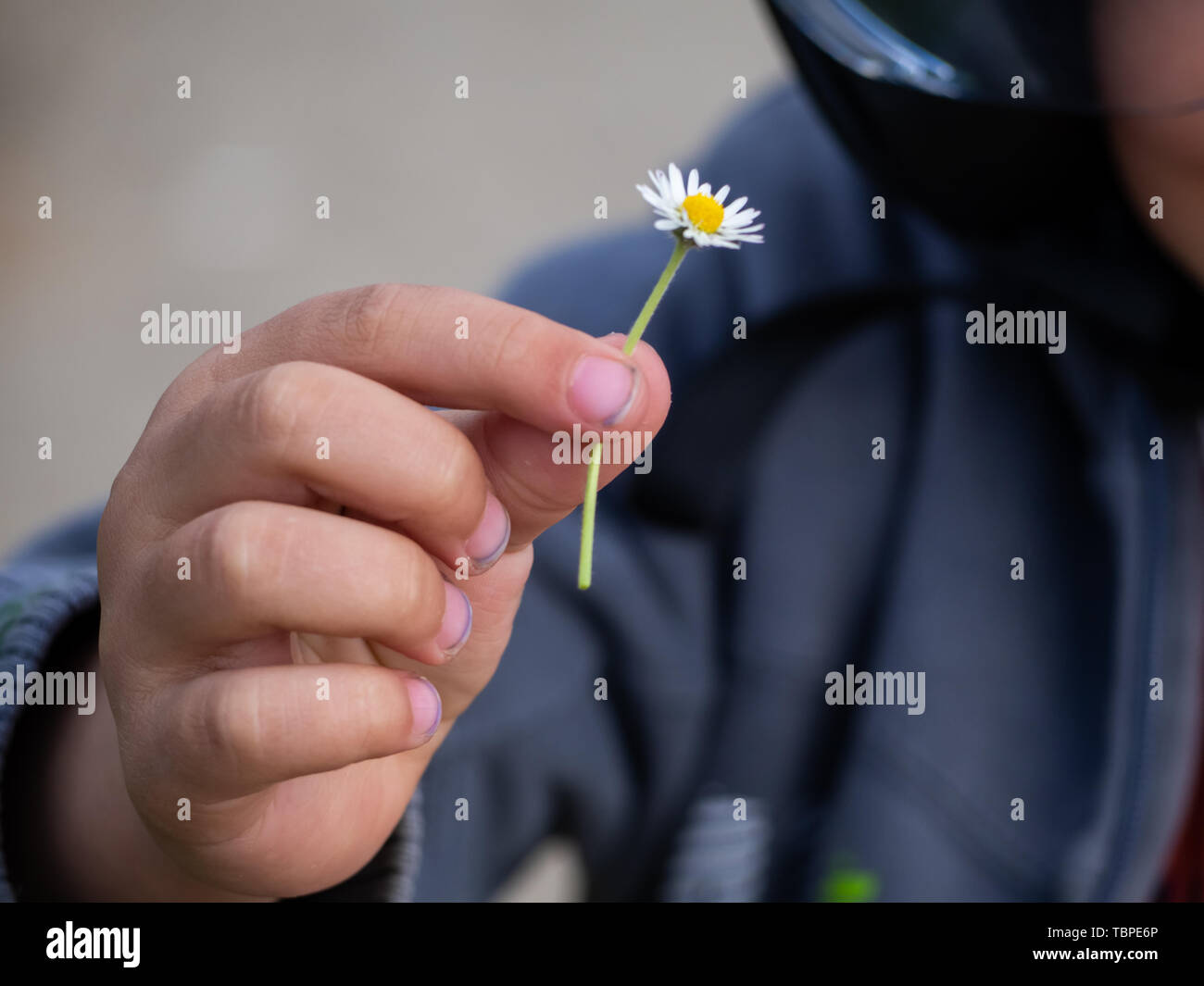 Children and daisy hi-res stock photography and images - Alamy