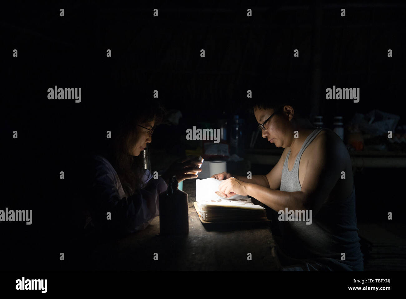 (190603) -- TAMANTHI, June 3, 2019 (Xinhua) -- Chinese researchers check plant samples at their campsite in the Tamanthi Wildlife Sanctuary in north Myanmar, May 30, 2019. A China-Myanmar joint field expedition, made up with researchers from the Southeast Asia Biodiversity Research Institute of the Chinese Academy of Sciences (CAS-SEABRI) and the Natural Resources and Environmental Conservation of Myanmar, is doing researches on the biodiversity of the Tamanthi Wildlife Sanctuary in northern Myanmar. The expedition, the eighth of its kind since 2014, began on May 14 and will last till June 15. Stock Photo