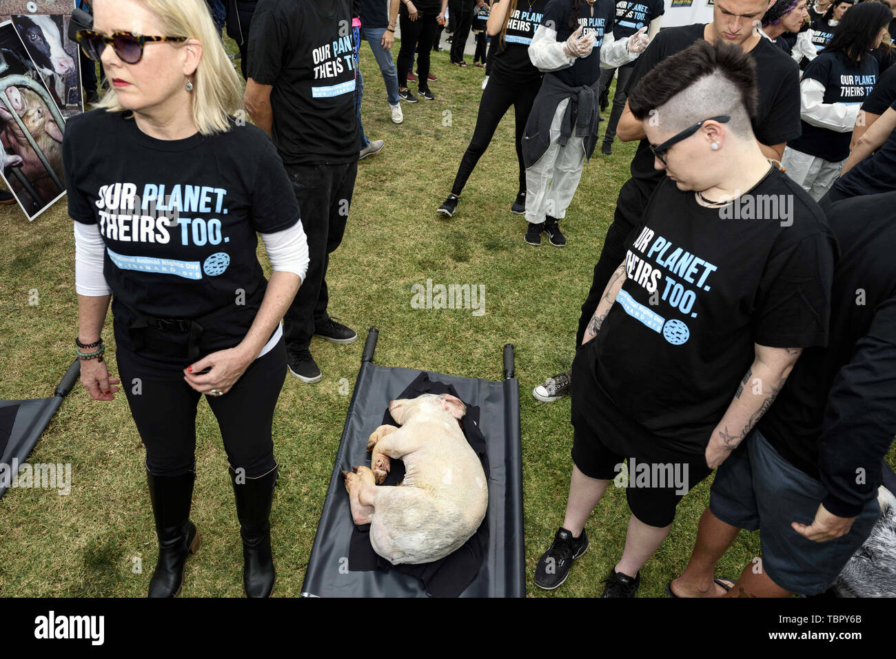 March 15, 2019 - Los Angeles, California, United States - Animal rights ...