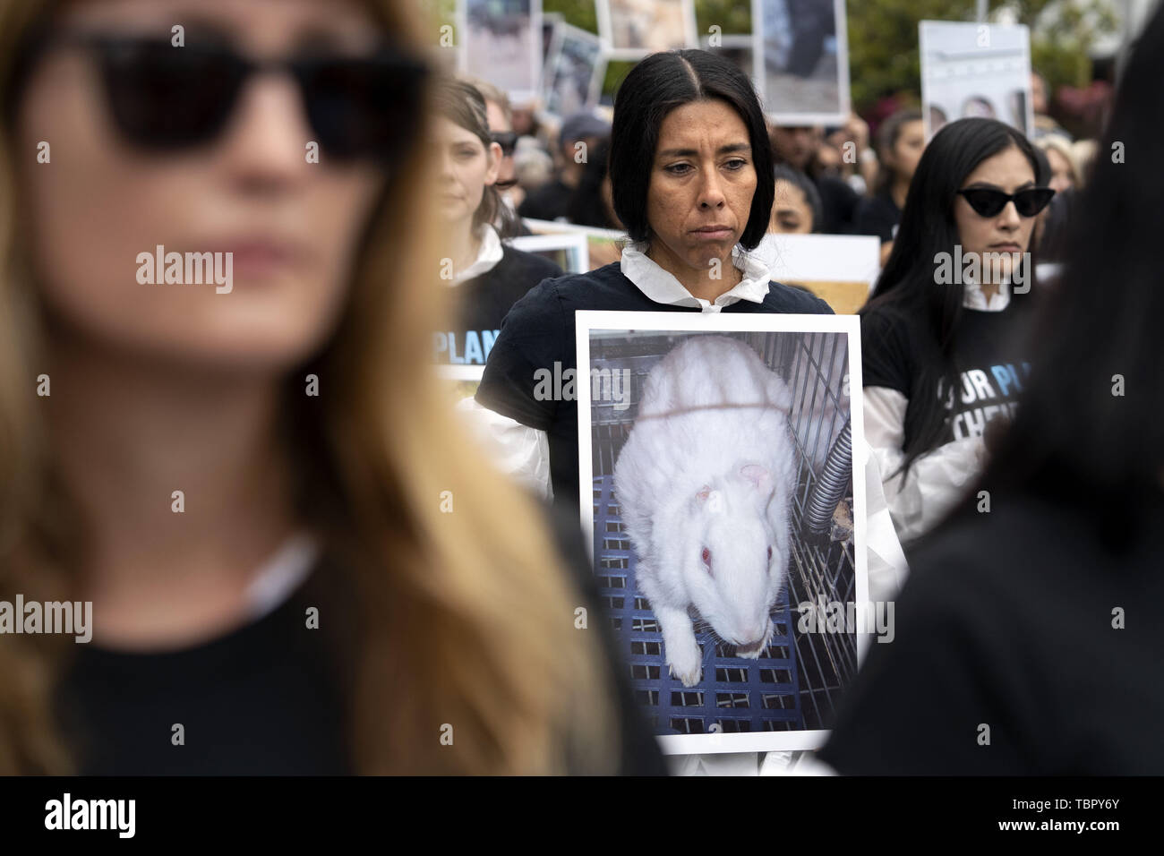 March 15, 2019 - Los Angeles, California, United States - An animal ...