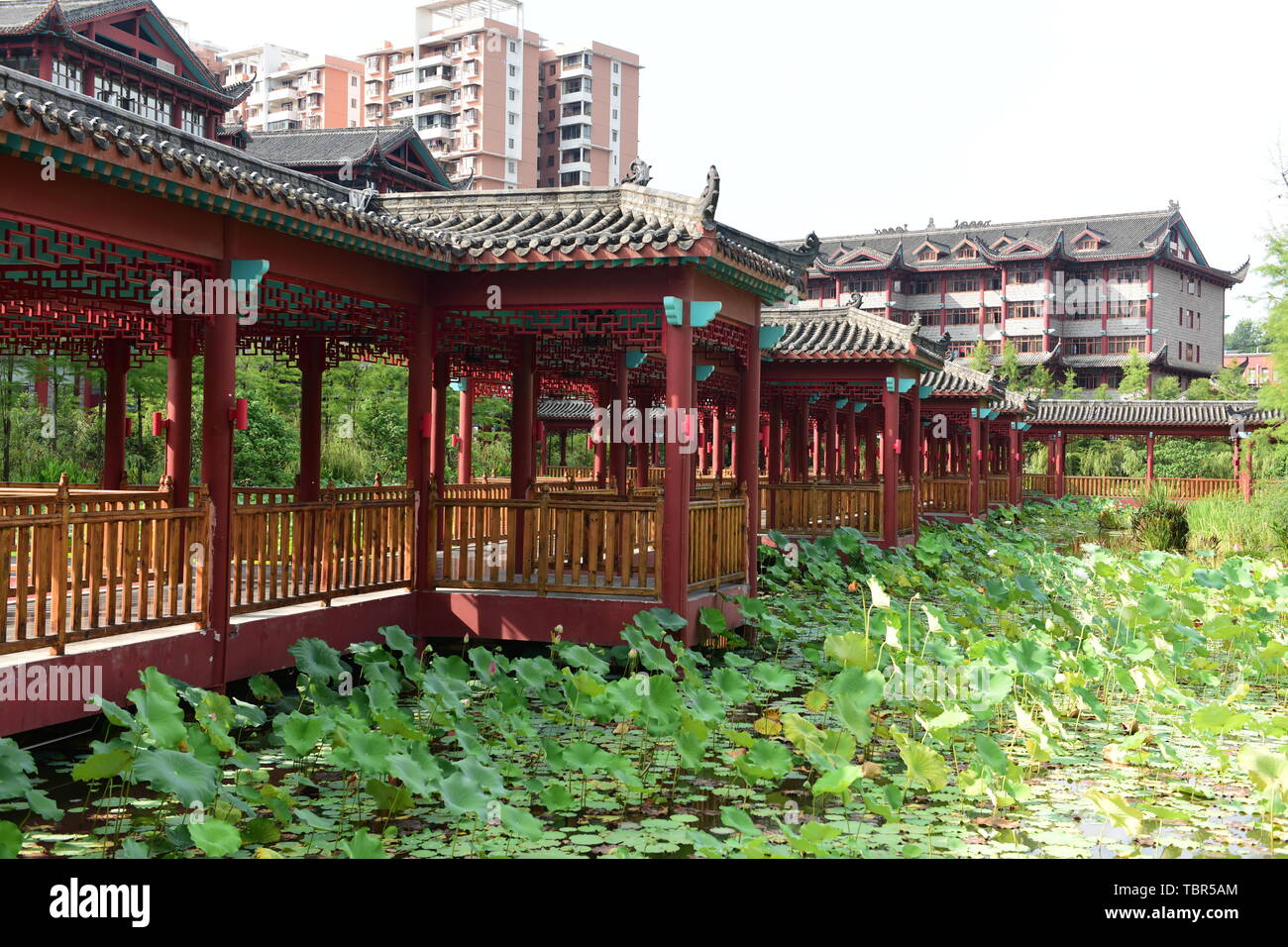 Antique architecture and lotus pavilion lotus Stock Photo Alamy