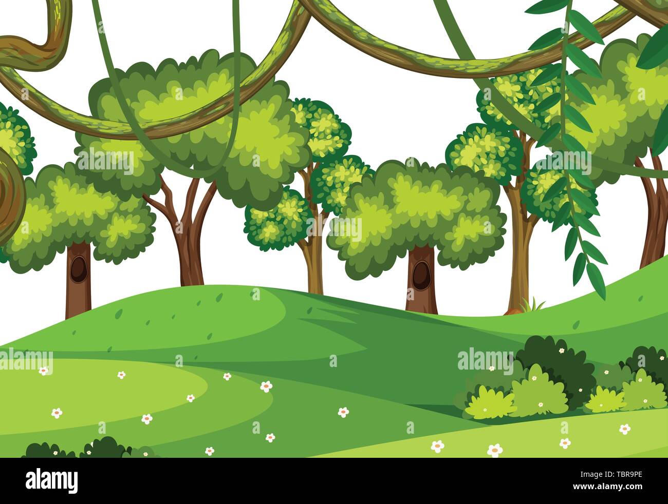 A nature forest background illustration Stock Vector Image & Art - Alamy