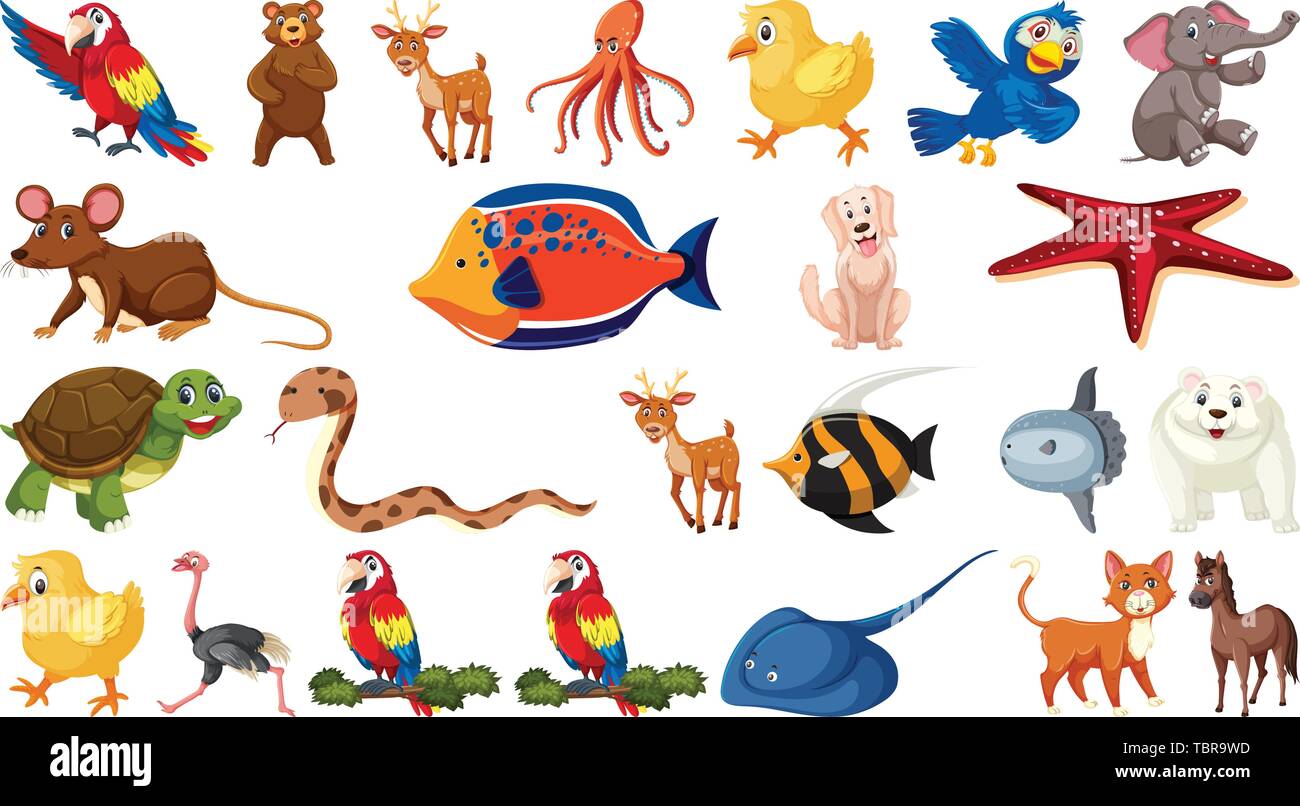 Set of wild animal illustration Stock Vector Image & Art - Alamy