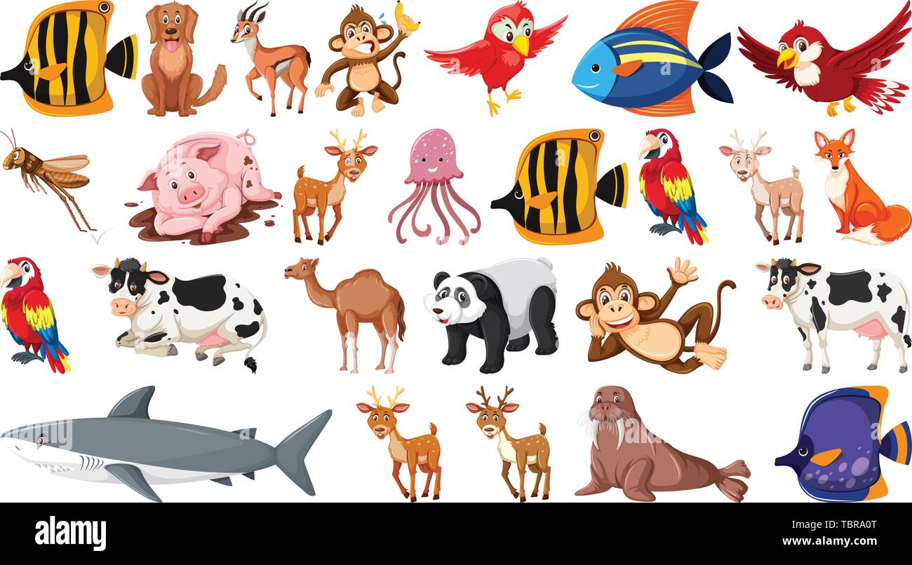 Set of wild animal illustration Stock Vector Image & Art - Alamy