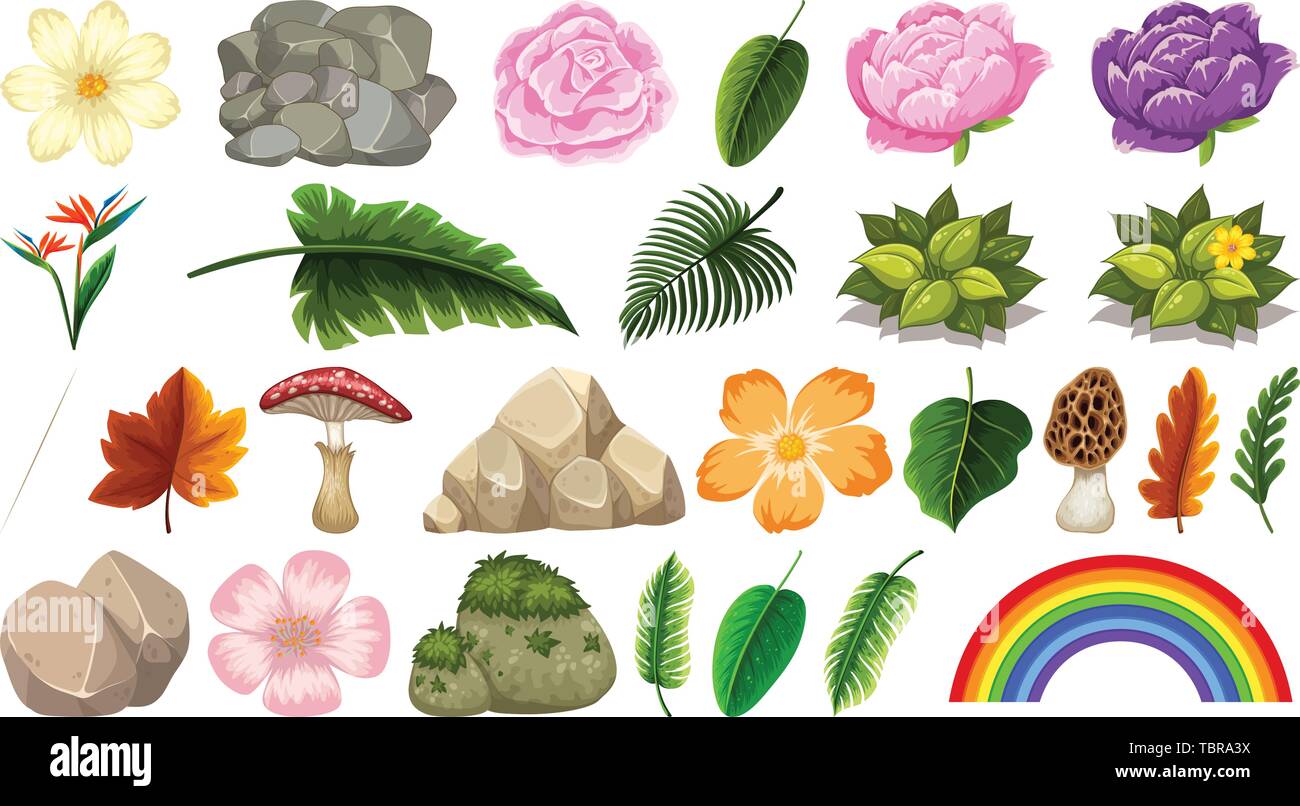 Set Of Nature Object For Decoration Illustration Stock Vector Image ...