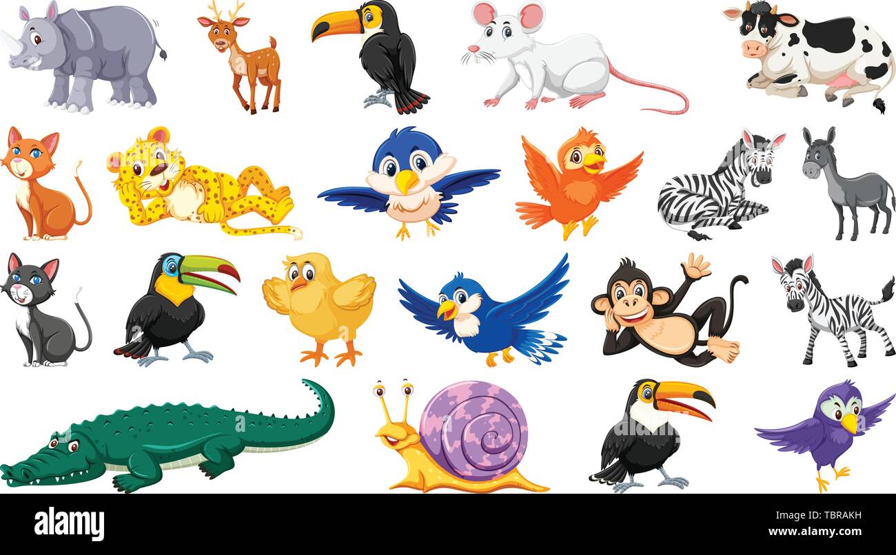 Set of wild animal illustration Stock Vector Image & Art - Alamy