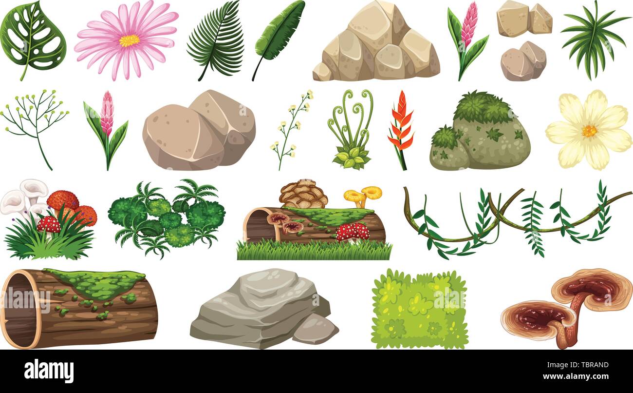 Set of nature objects illustration Stock Vector Image & Art Alamy